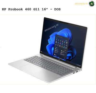 HP ProBook 460 G11 16" | AMASOUQAE SIDE VIEW 1