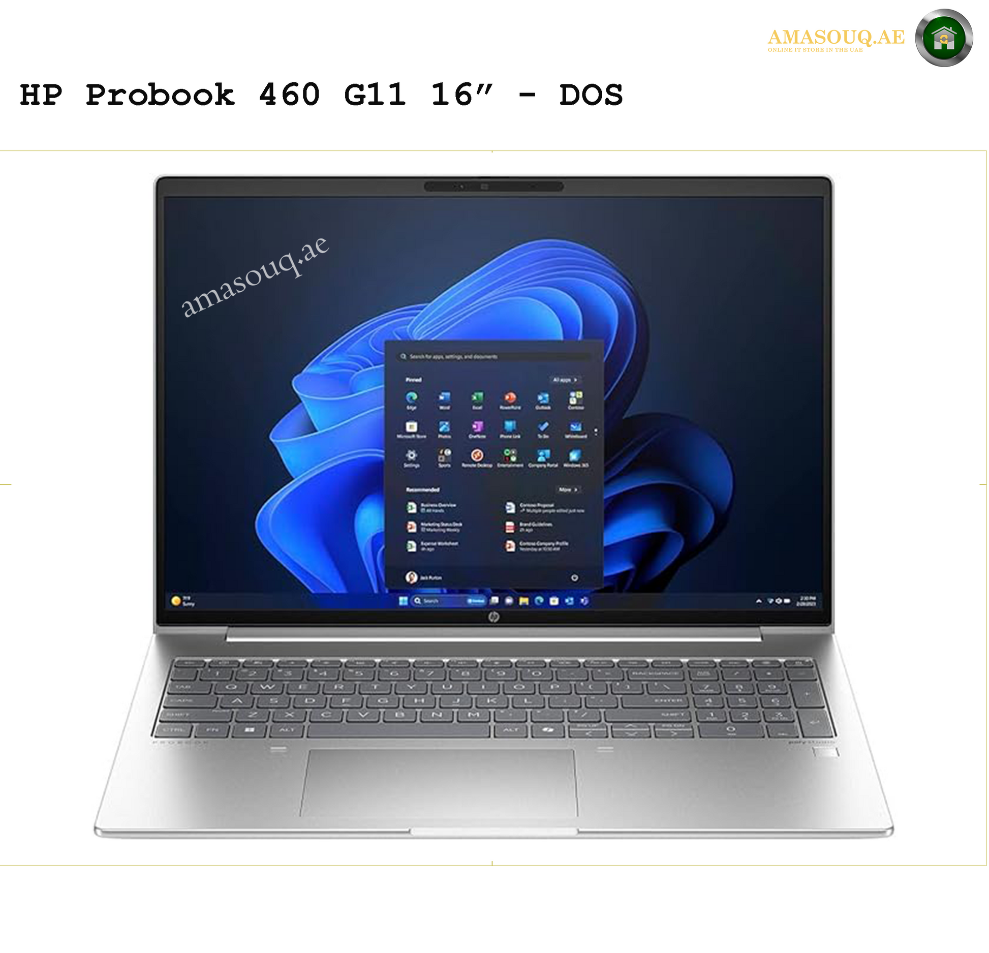 HP ProBook 460 G11 16" | AMASOUQAE