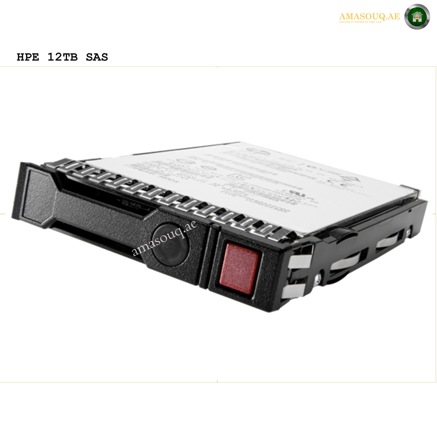 HPE SAS