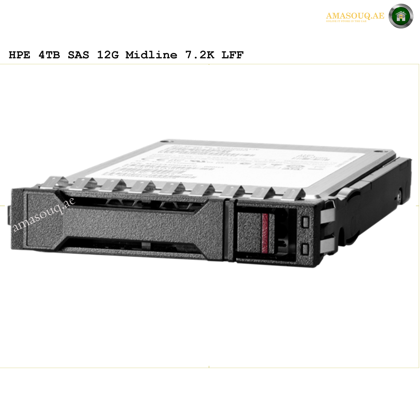 HPE SAS