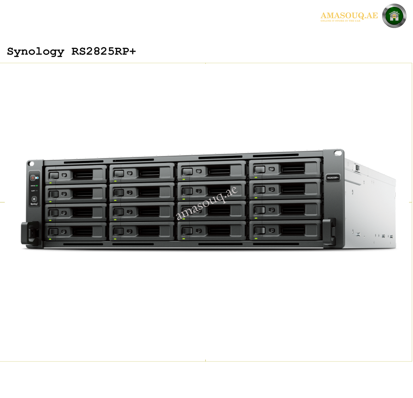 Synology RackStation - RS2825RP+ - 16 Bay