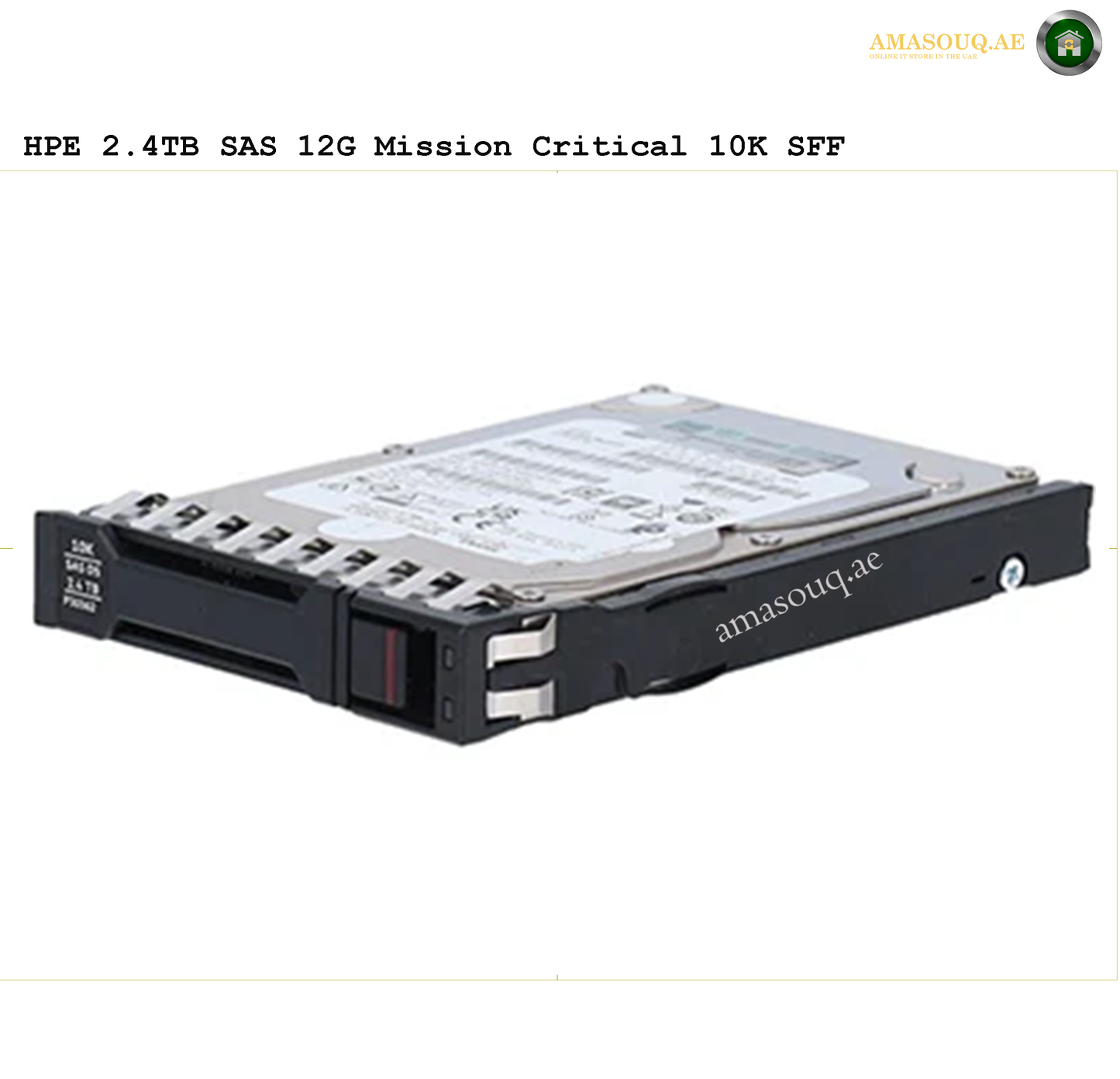 HPE SAS