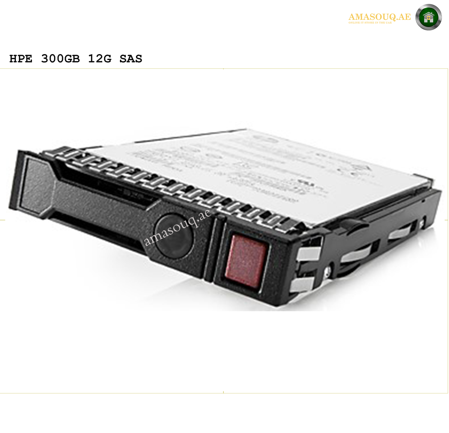 HPE SAS