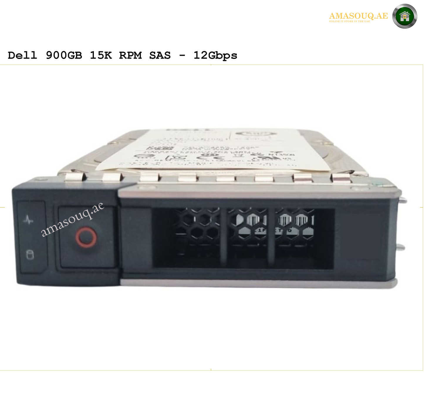 Dell SAS