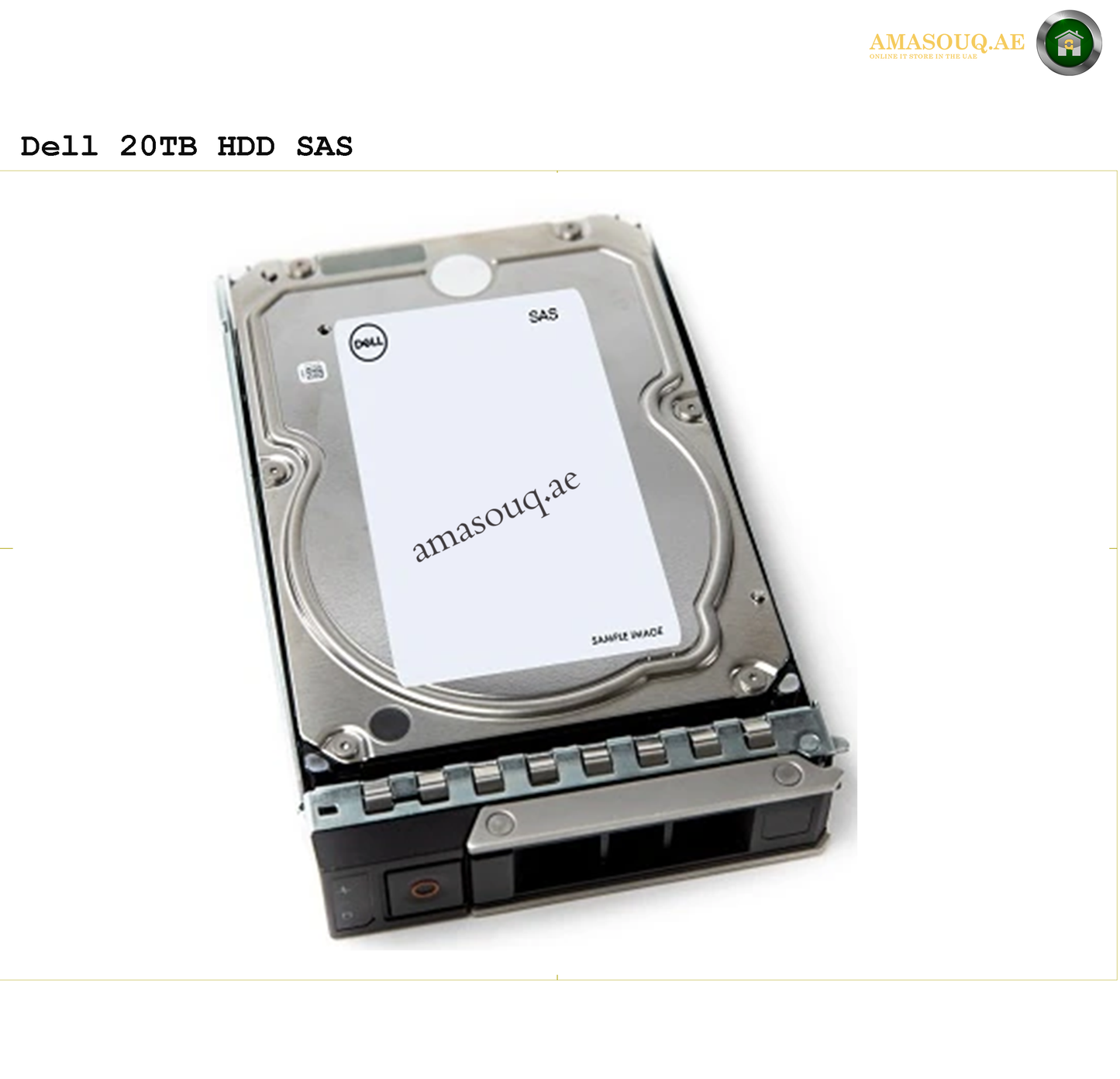 Dell SAS