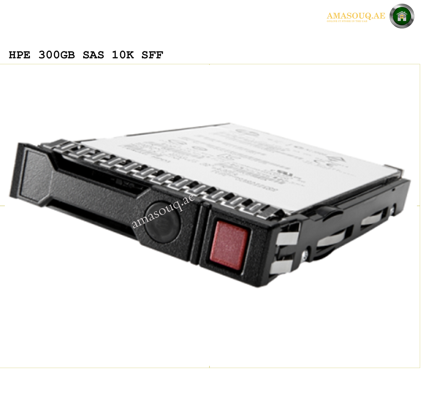 HPE SAS