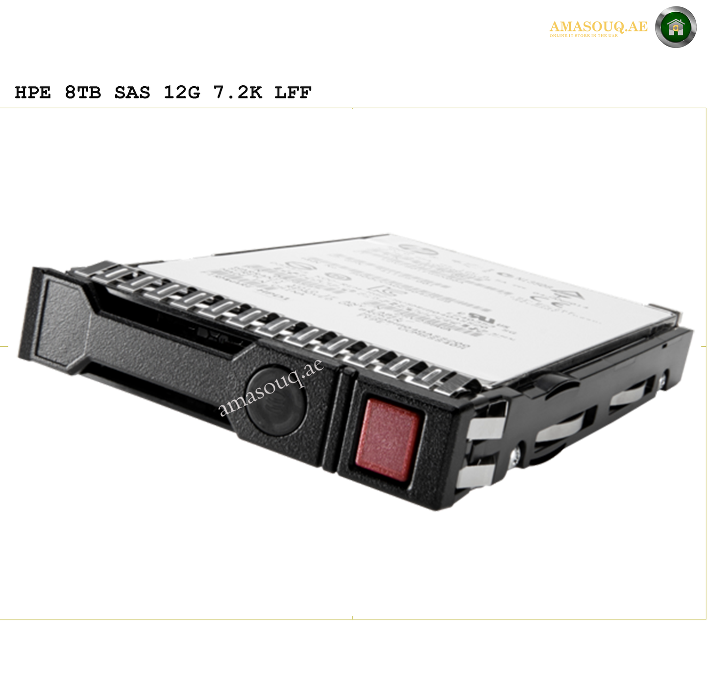 HPE SAS