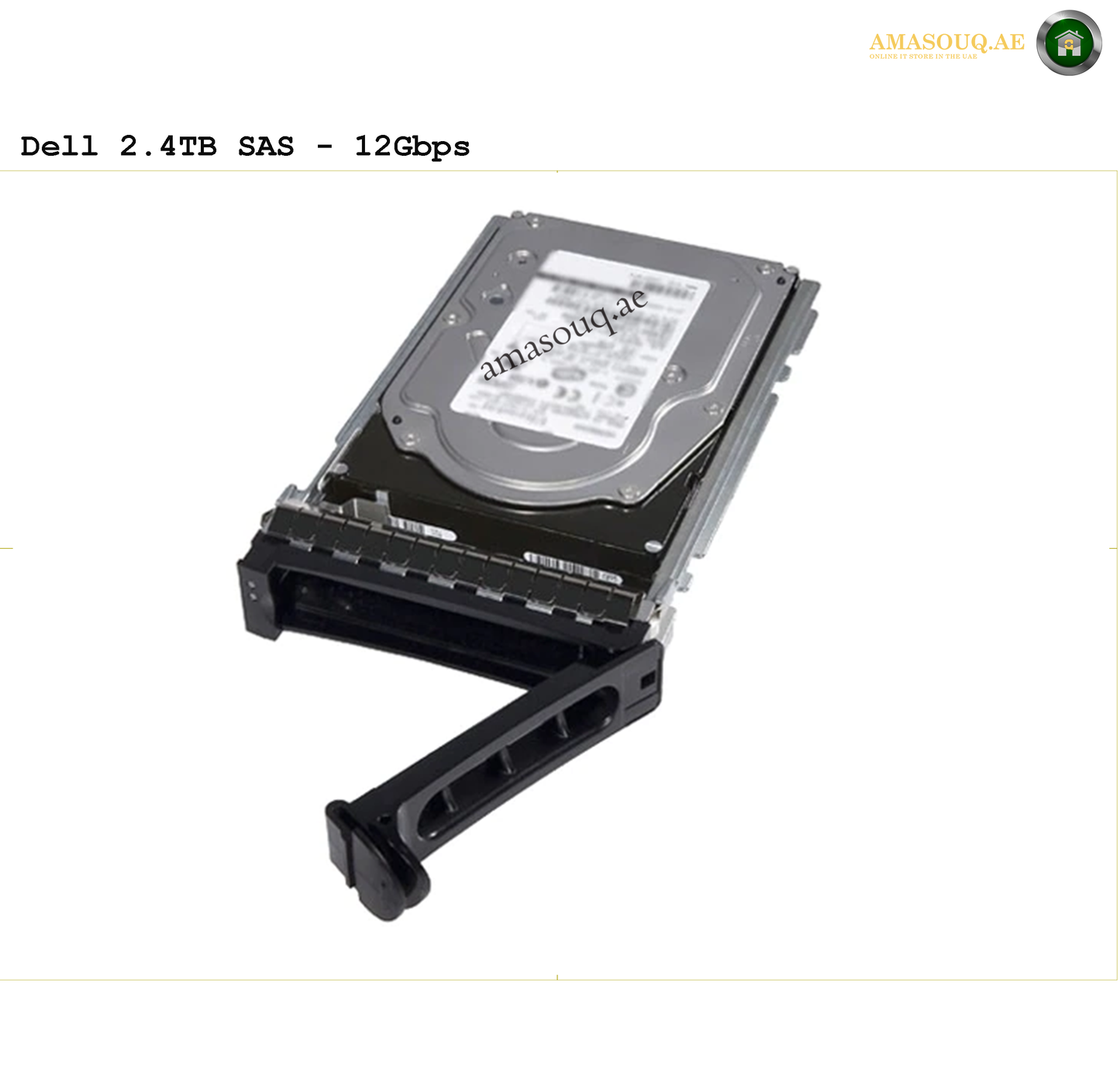 Dell SAS
