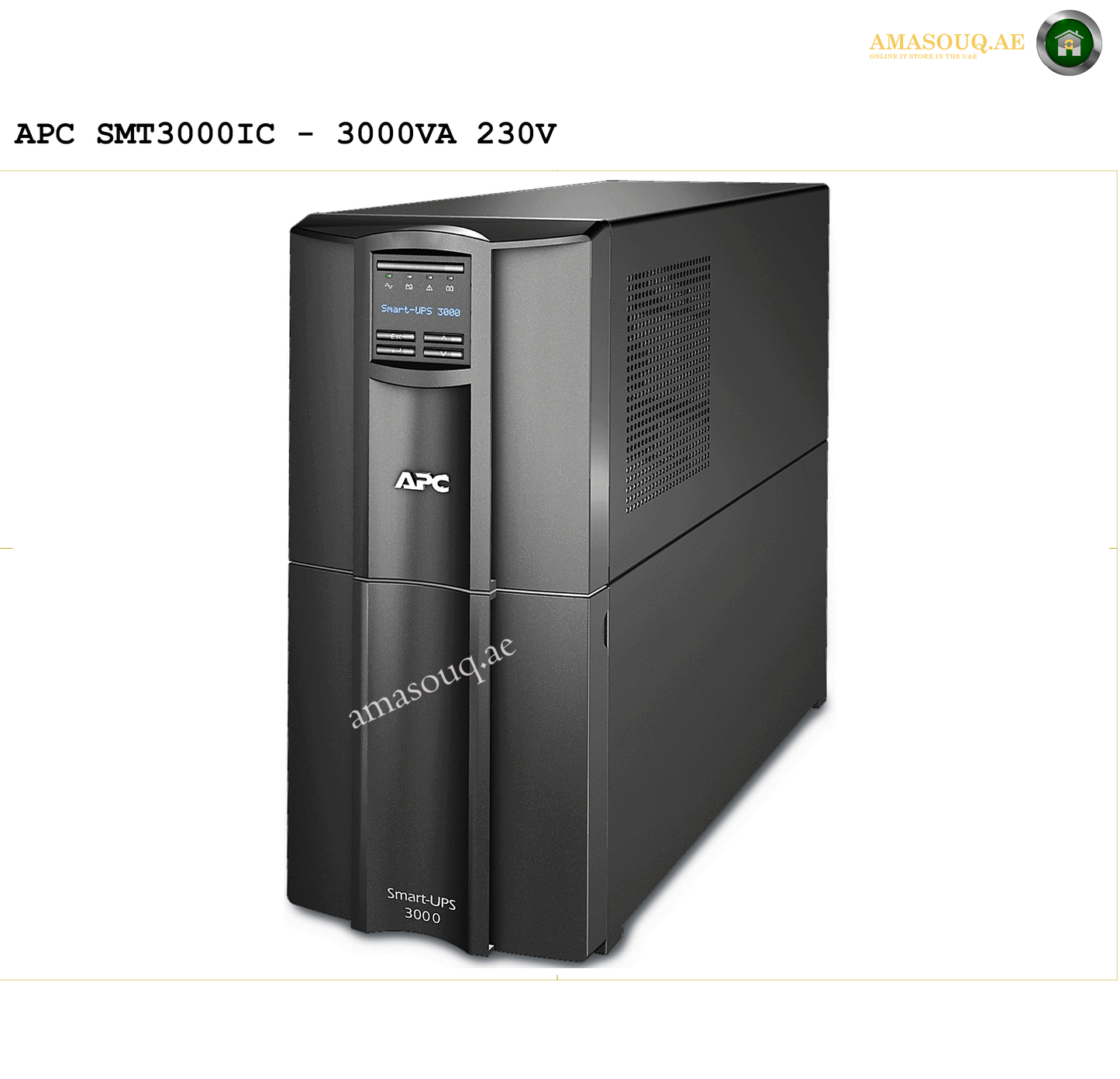 APC SMT3000IC - 3000VA / 230V