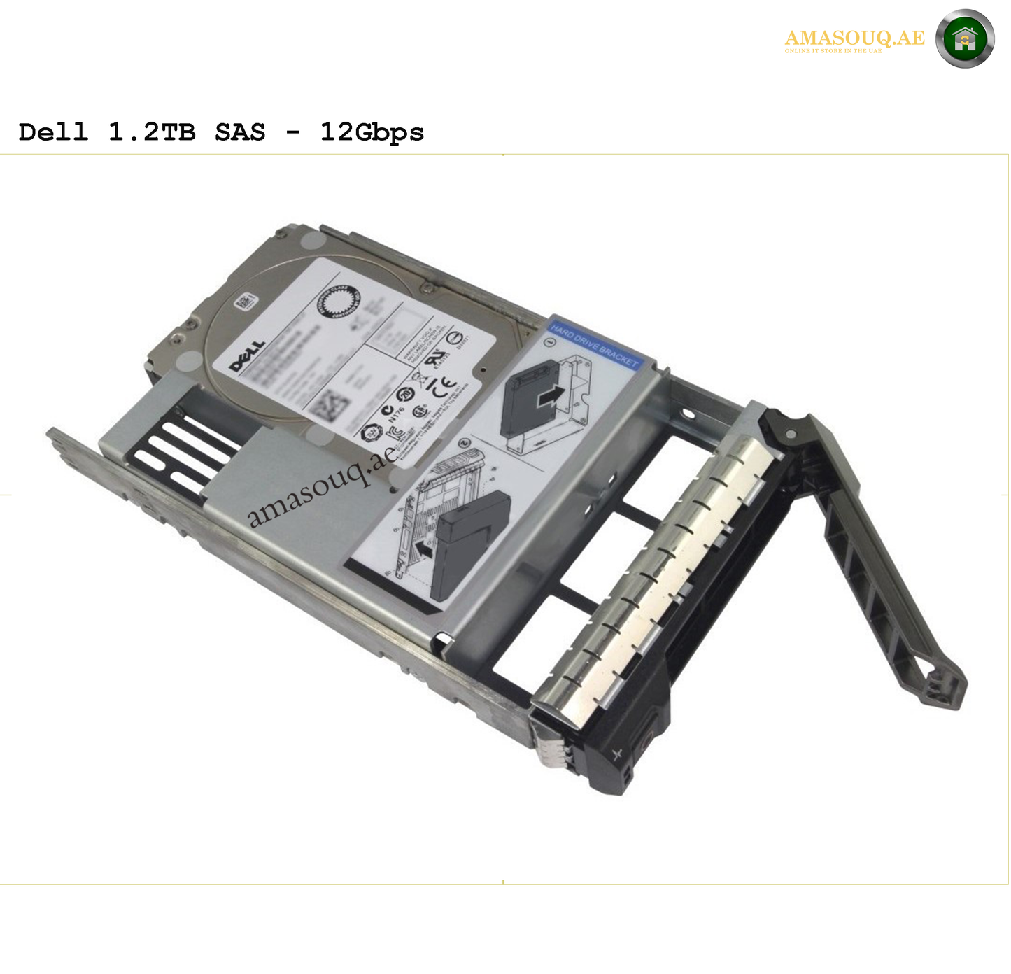 Dell SAS