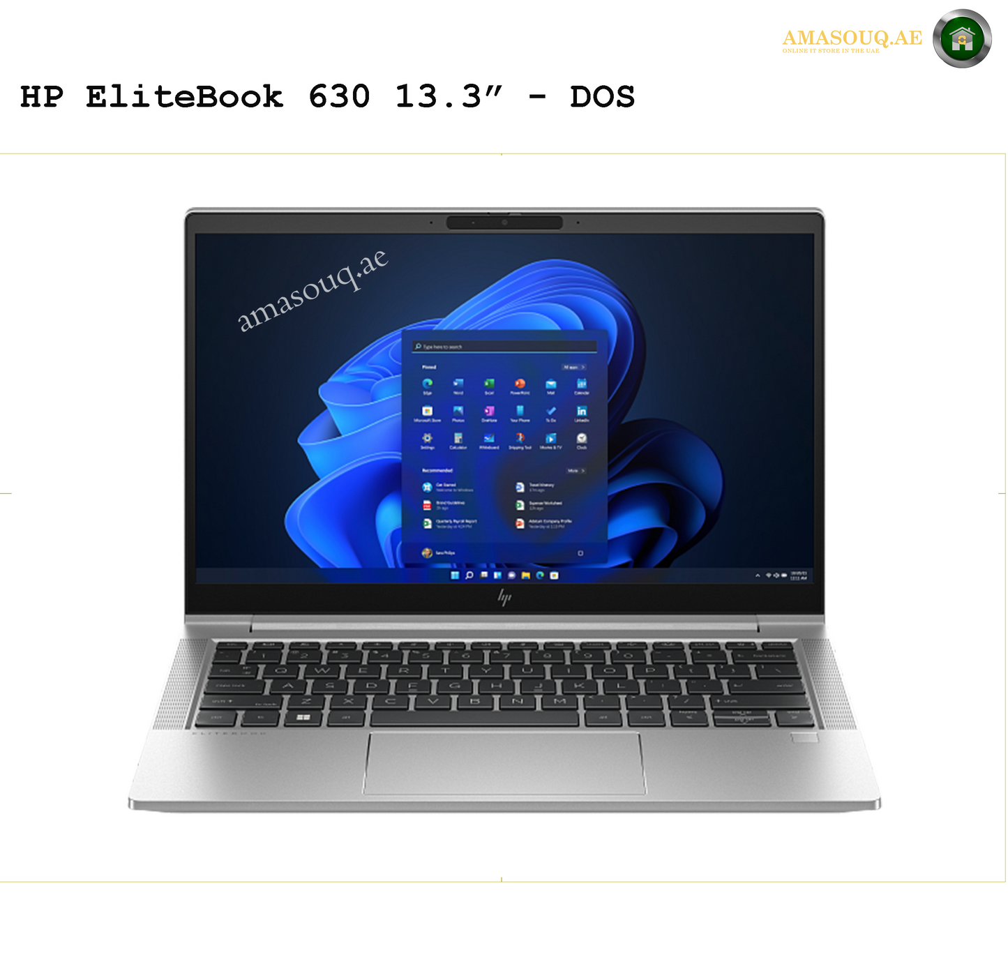 🖥️ HP EliteBook 630 G10  13.3" - DOS