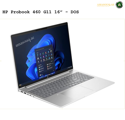 🖥️ HP ProBook 460 G11  16" - DOS