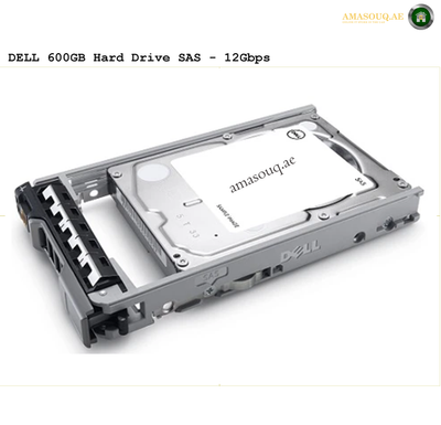 Dell SAS