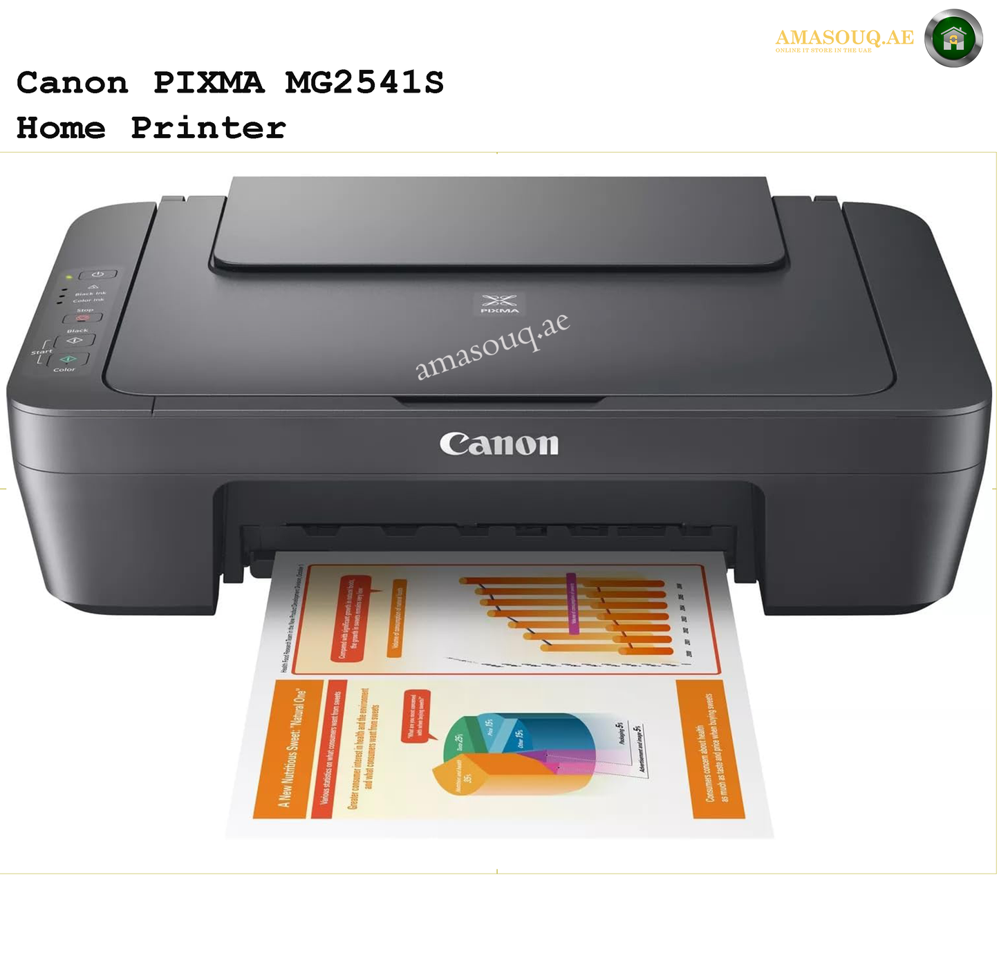 CANON MG2541S CME GREY