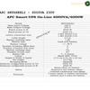 APC SRTG6KXLI  - 6 KVA/ 230V