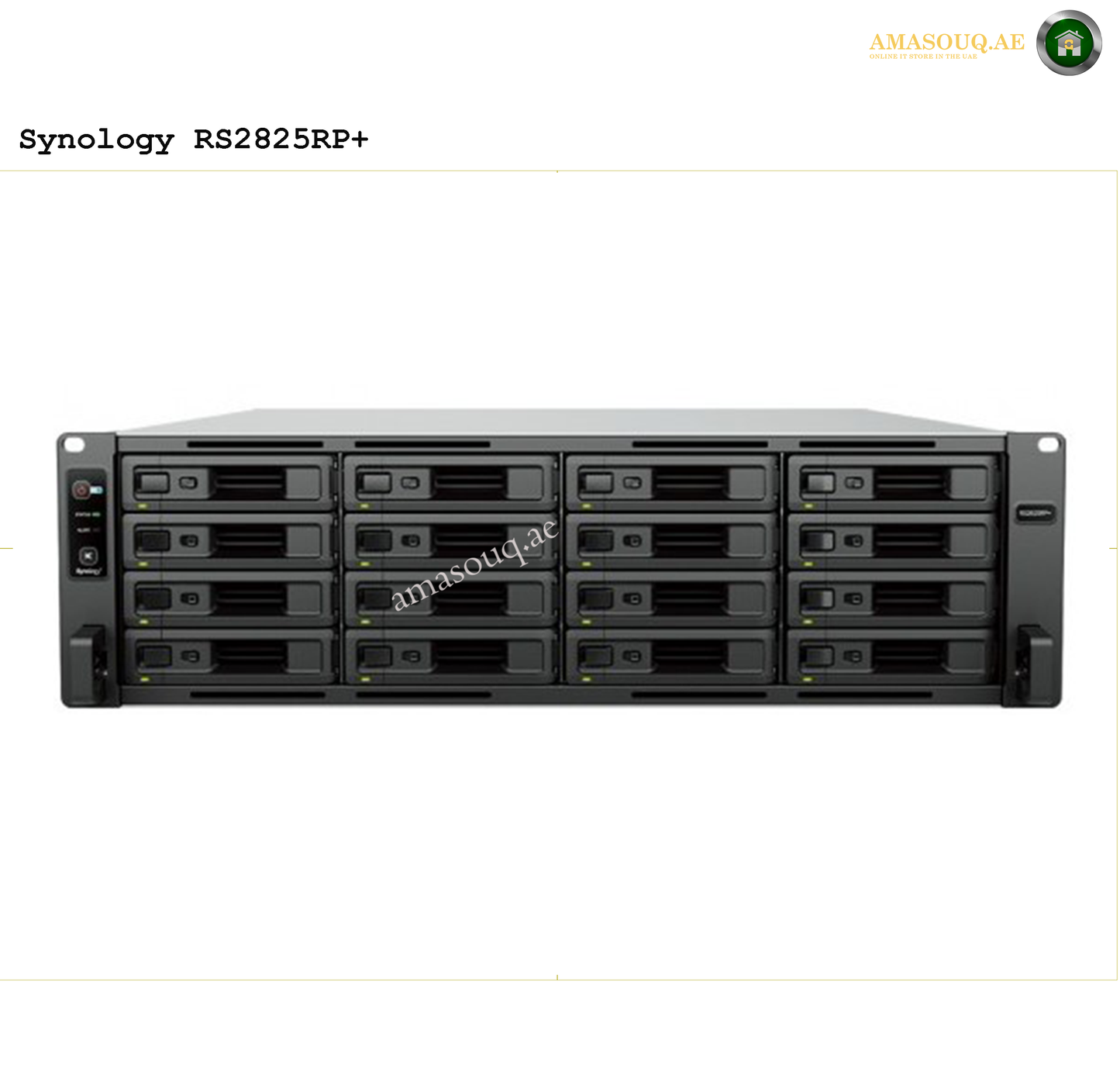 Synology RackStation - RS2825RP+ - 16 Bay
