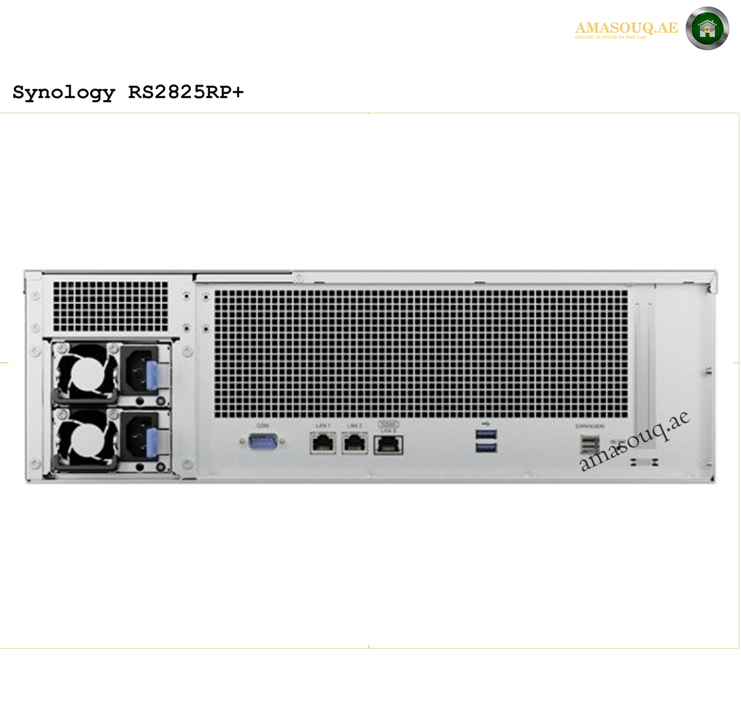 Synology RackStation - RS2825RP+ - 16 Bay