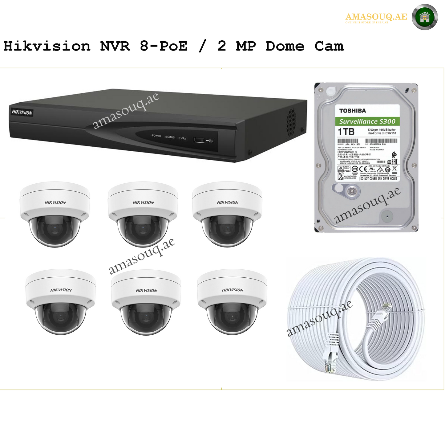 Hikvision - NVR 8 PoE - 6 Dome CAM