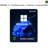 Windwos Professional Licenses