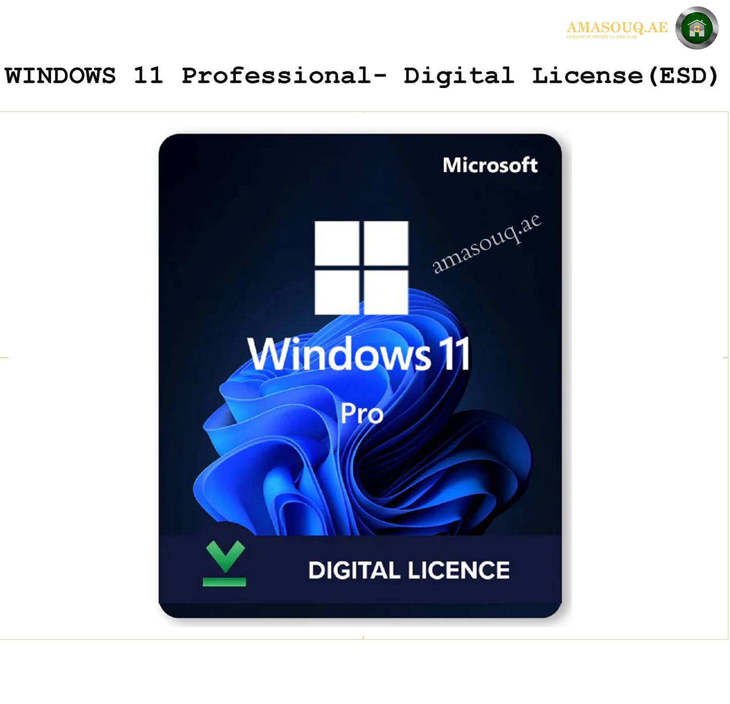 Windwos Professional Licenses