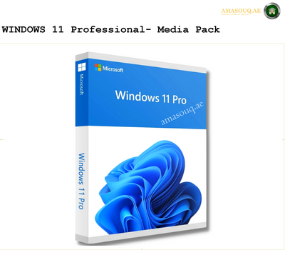 Windwos Professional Licenses