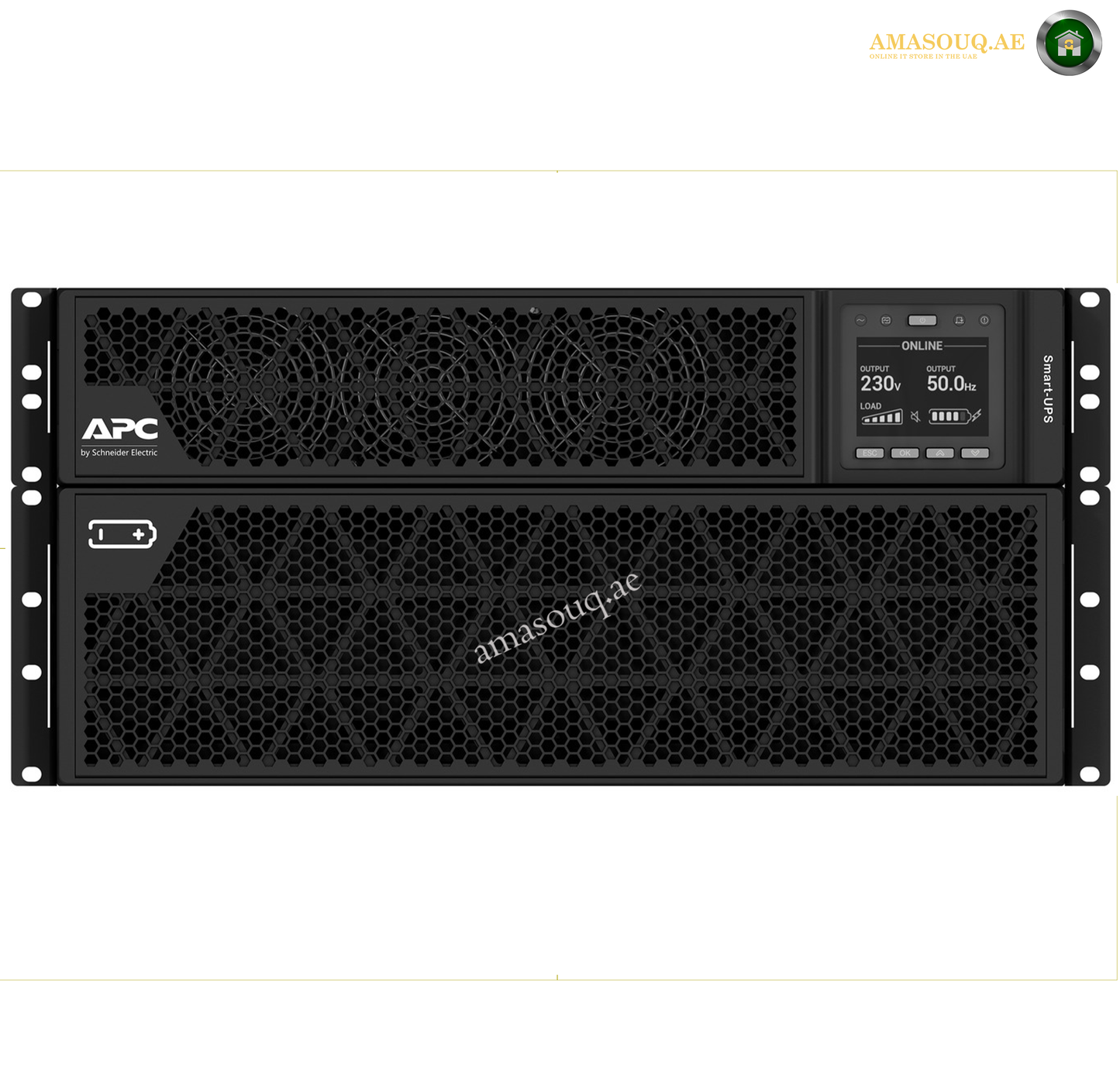 APC SRTG10KXLI - 10KVA / 230V