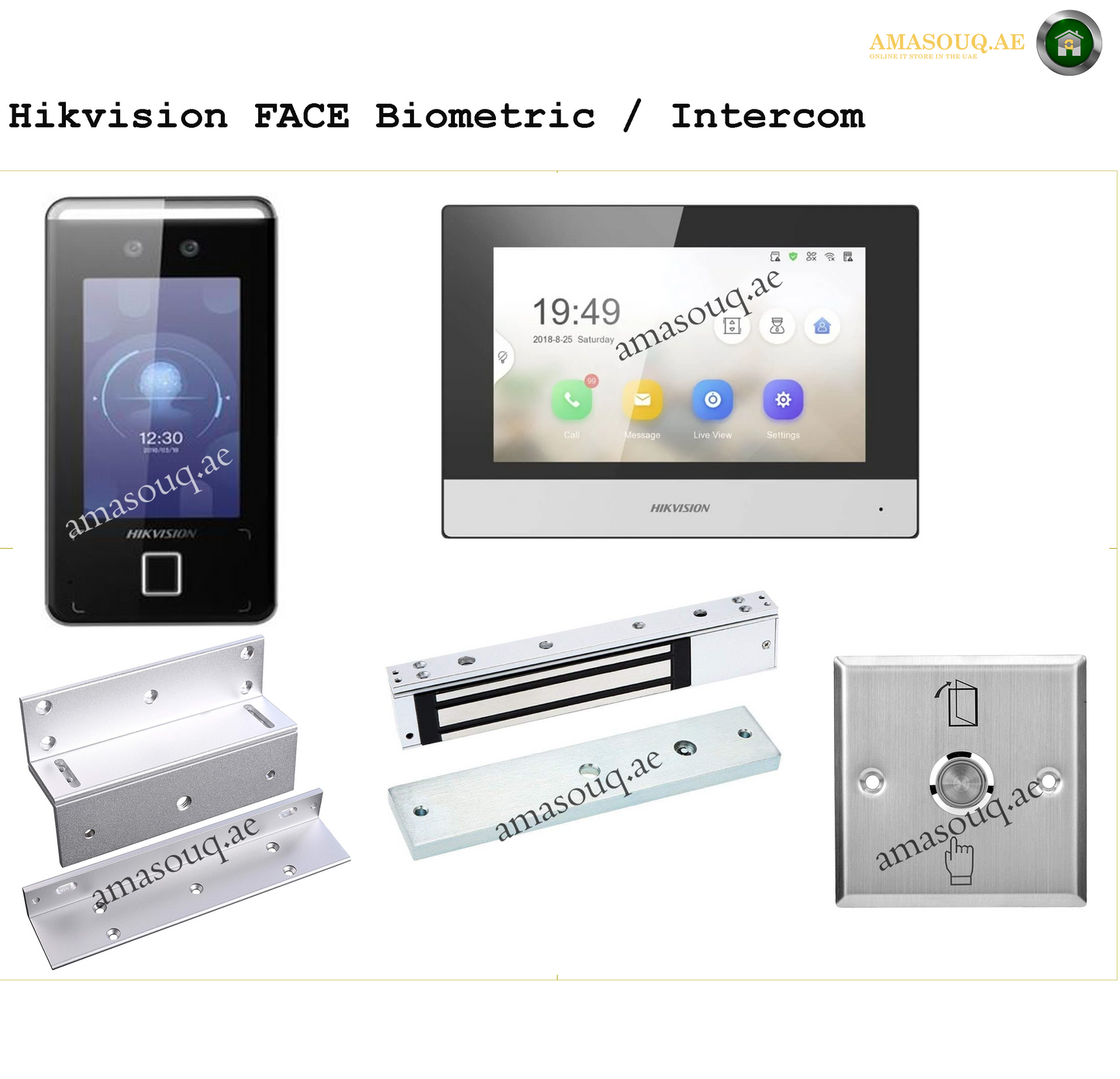 Hikvision Biometric / Intercom / Magnetic Lock