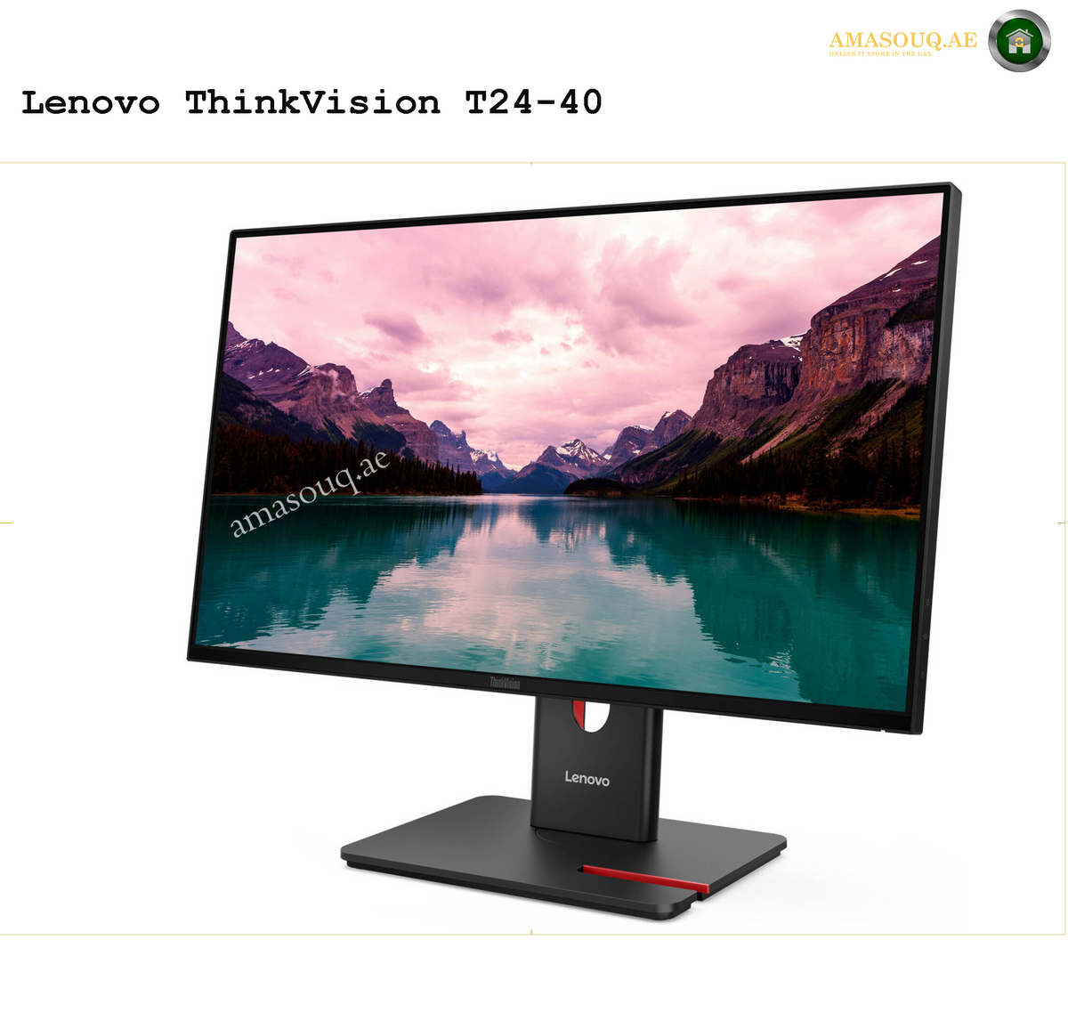 Lenovo ThinkVision T24-40 1920x1080 Full HD Monitor | 64A4MAT2AE